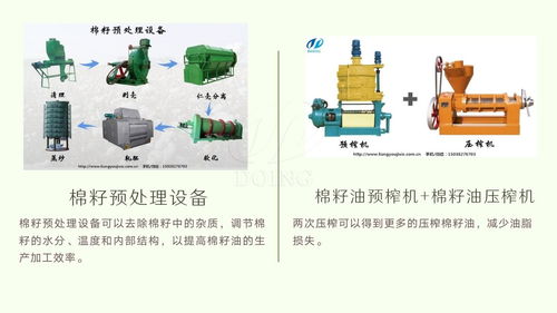 成套棉籽油生产加工设备 大中小型棉籽油生产加工设备 厂家供应